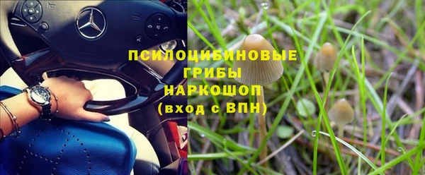 таблы Богданович
