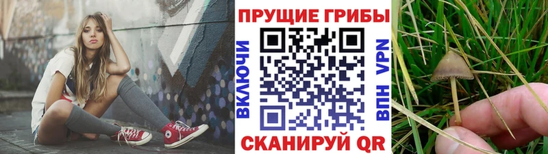 Псилоцибиновые грибы Magic Shrooms  Короча 